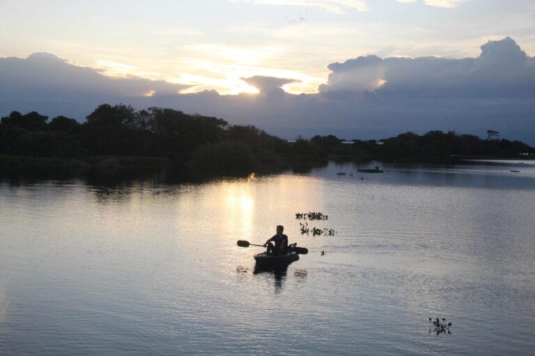 Baia de Sia Mariana, Pantanal, Barão de Melgaço, Mato Grosso Foto Carina Furlanetto