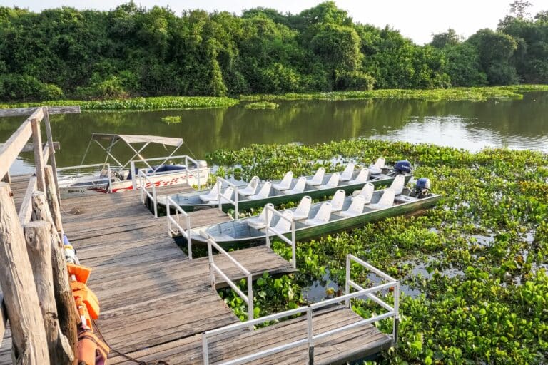 Barcos de turismo, Pantanal, Mato Grosso - Foto Uwe Bergwitz