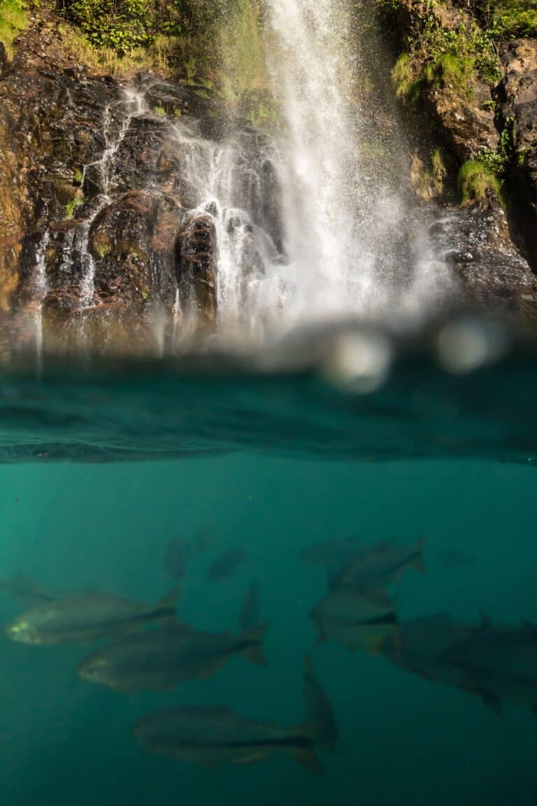 Cachoeira Serra Azul - Nobres - Mato Grosso - Brasil - Foto Luciano Queiroz