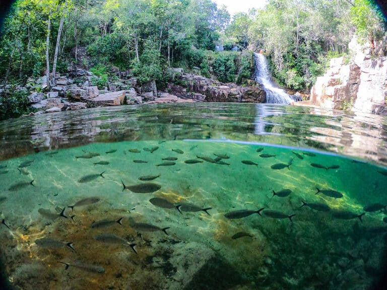 Cachoeira da Saudade - Nova Xavantina MT