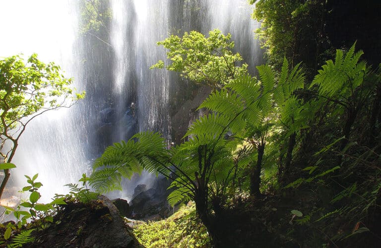 Cachoeira do São Francisco - Barra do Garças MT