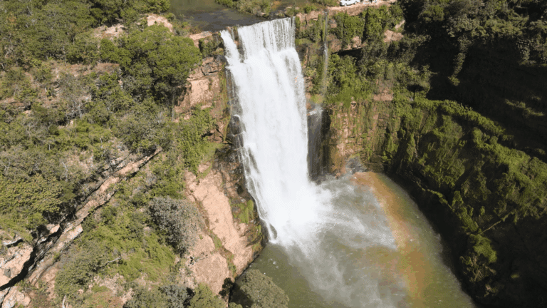 Cerrado, Tesouro, Mato Grosso 210 Foto Lincon