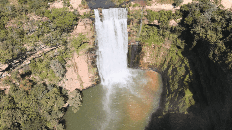Cerrado, Tesouro, Mato Grosso 218 Foto Lincon