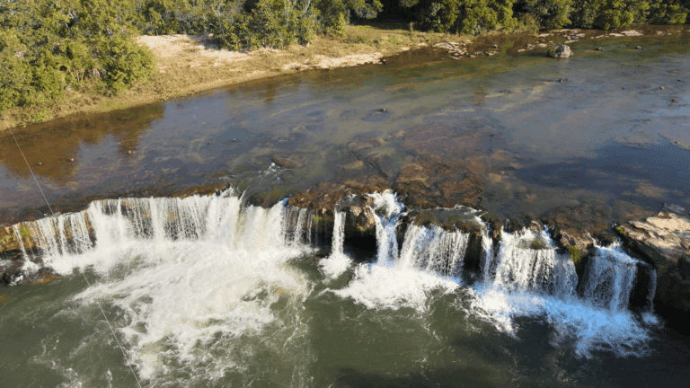 Cerrado, Tesouro, Mato Grosso 235 Foto Lincon