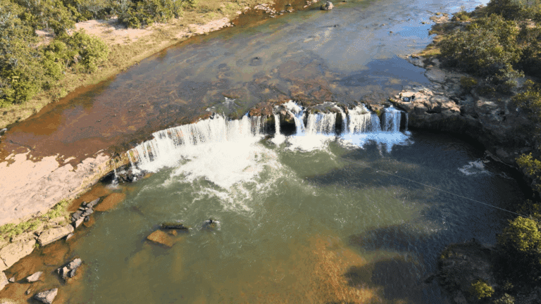 Cerrado, Tesouro, Mato Grosso 241 Foto Lincon