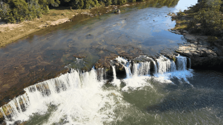 Cerrado, Tesouro, Mato Grosso 36 Foto Lincon