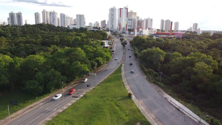 Cuiaba Mato Grosso Foto Pedro
