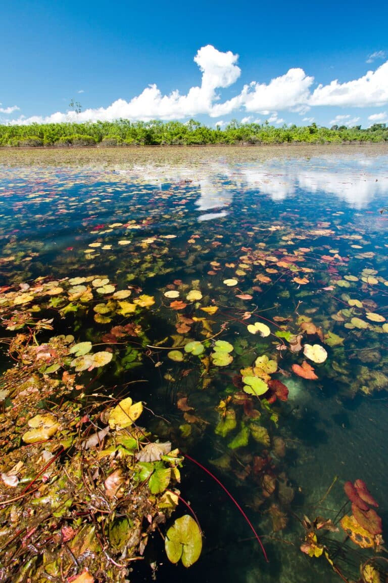 Lago Azul do Apiacás. pulsar imagens