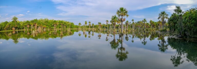 Lagoa das Araras, Bom Jardim, Mato Grosso, Brasil Foto Uwe Bergwitz