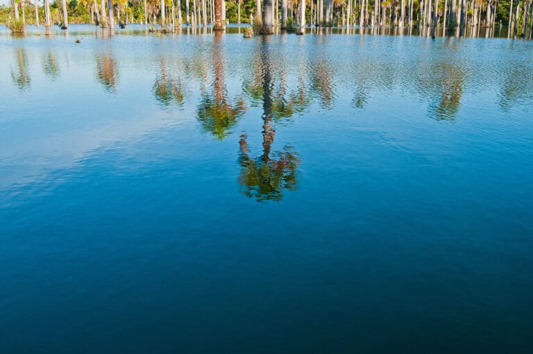 Lagoa das Araras, Bom Jardim, Nobres, Mato Grosso, Brasil Foto-Daniel Arantes