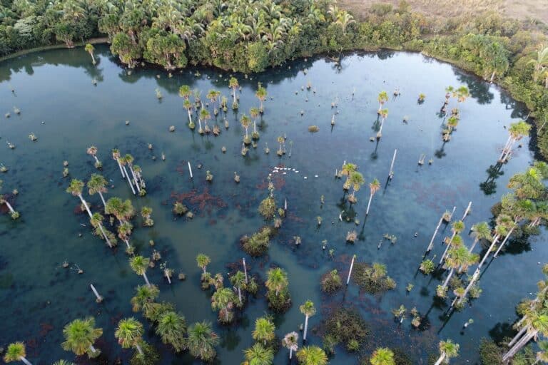 Lagoa das Araras, Nobres-Mato Grosso, Foto Bydronevideos