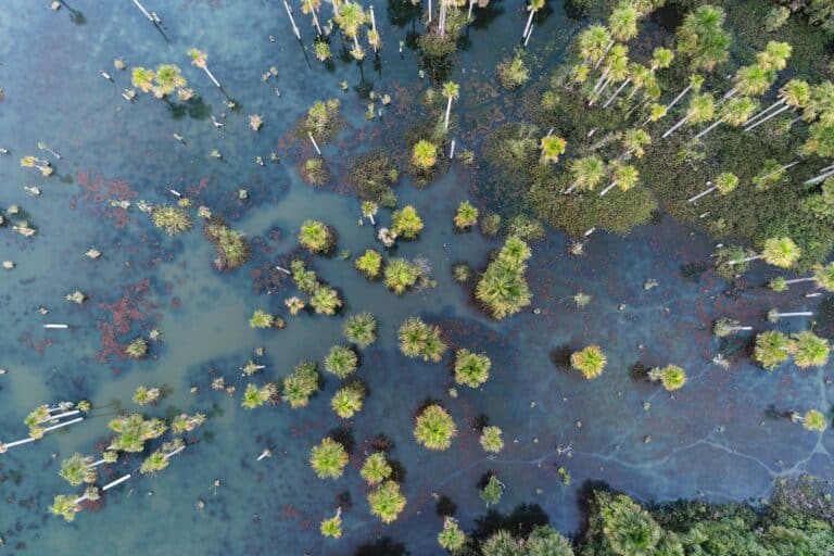 Lagoa das Araras, Nobres, Mato Grosso, Foto-Bydronevideos