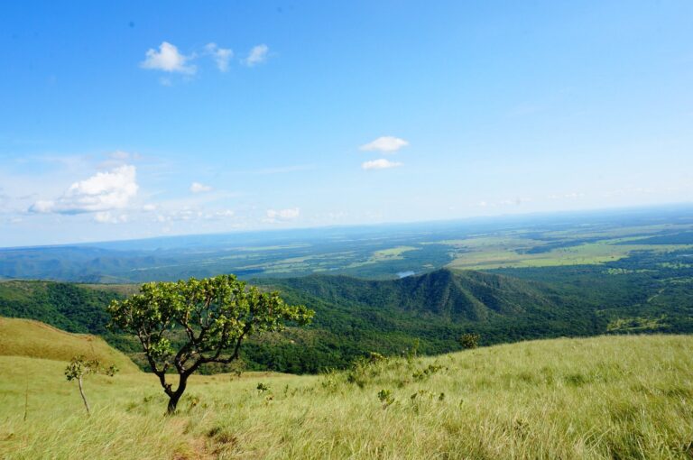 Mirante Centro Godésico - Chapada dos Guimarães MT