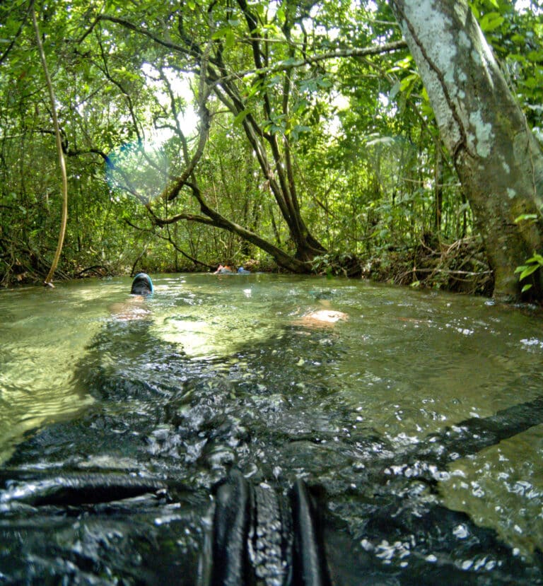 Nobres, Mato Grosso, Brasil Foto Felipecamps