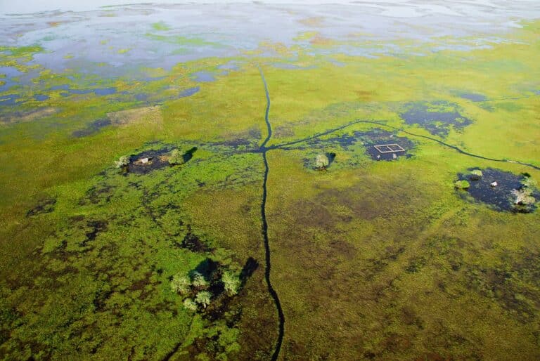 Pantanal, Barão de Melgaço, Foto Pulsar Imagens