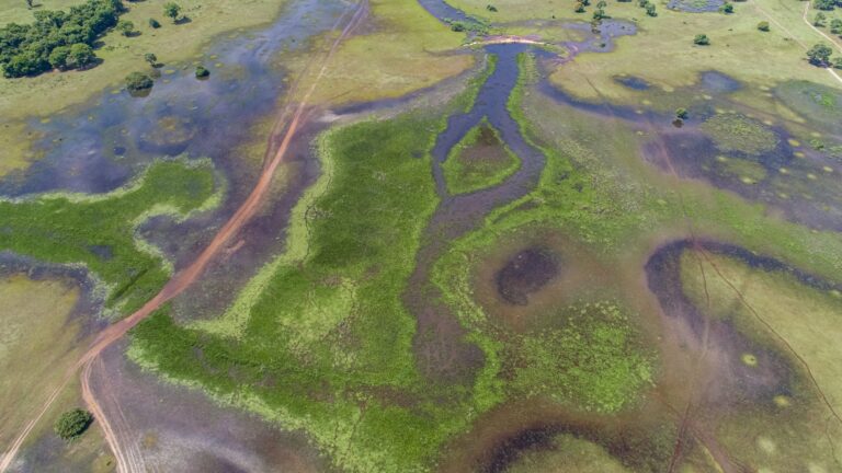 Pantanal, Estradas de terra, Mato Grosso, Brasil - Foto Uwe Bergwitz