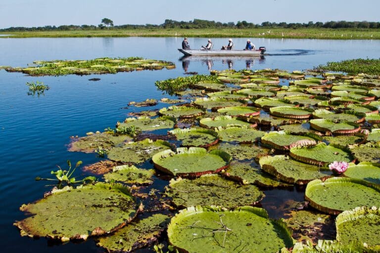 Pantanal, Foto-Pulsar Imagens