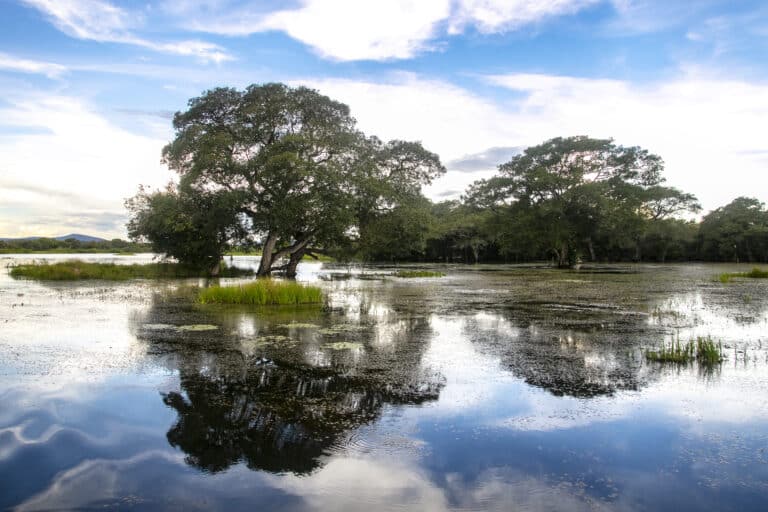Pantanal, Foto Rai Reis