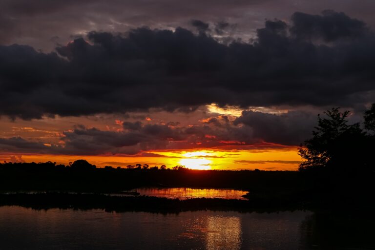 Pantanal, Mato Grosso, Brasil Foto- Uwe Bergwitz