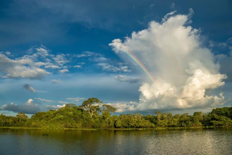 Pantanal, Mato Grosso FotoSchame87