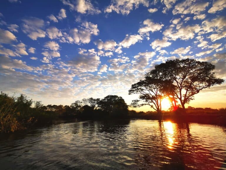 Pantanal, Sunset view stewart