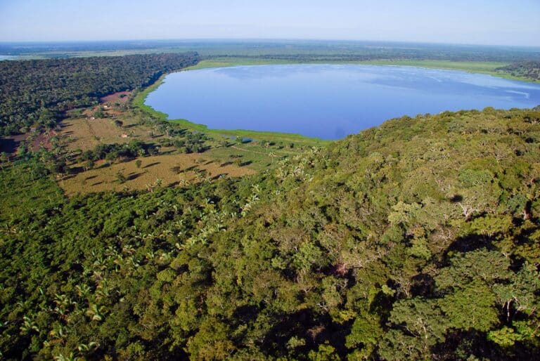 Pantanal de Barão de Melgaço Foto-Pulsar Imagens