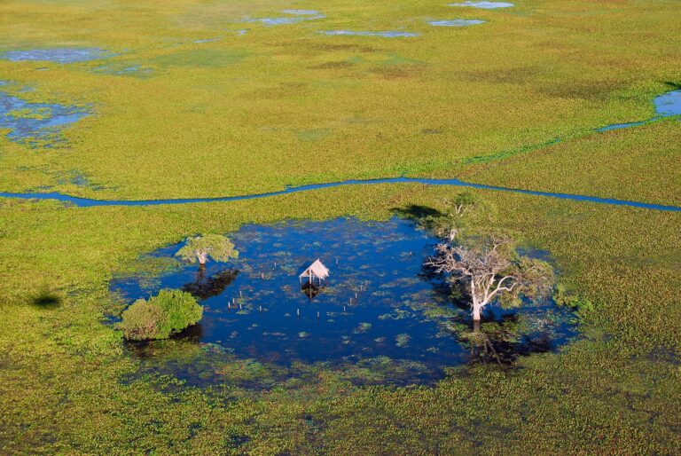 Pantanal de Barão de Melgaço, Foto Pulsar Imagens