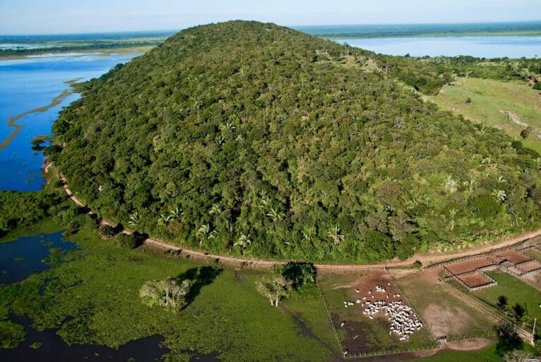 Pantanal de Barão de Melgaço Foto Pulsar Imagens