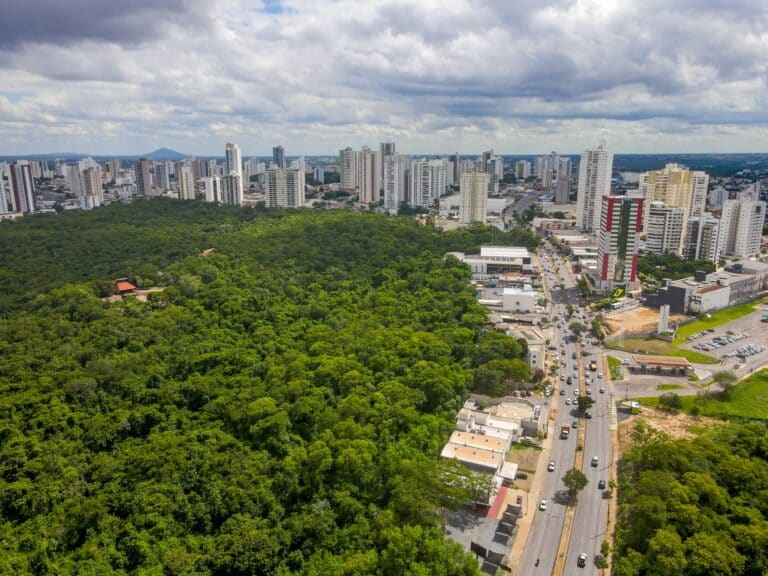 Parque Mae Bonafacia Cuiaba Mato Grosso Foto Andrew