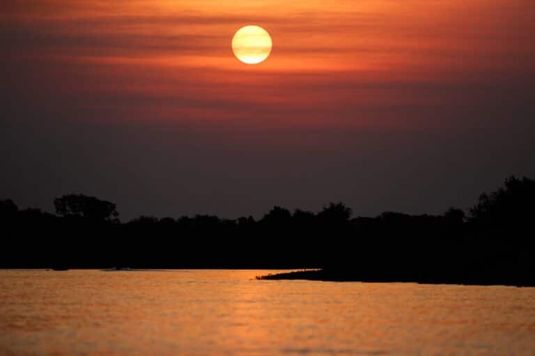 Pôr do sol, Pantanal, Mato Grosso - Foto Photocech