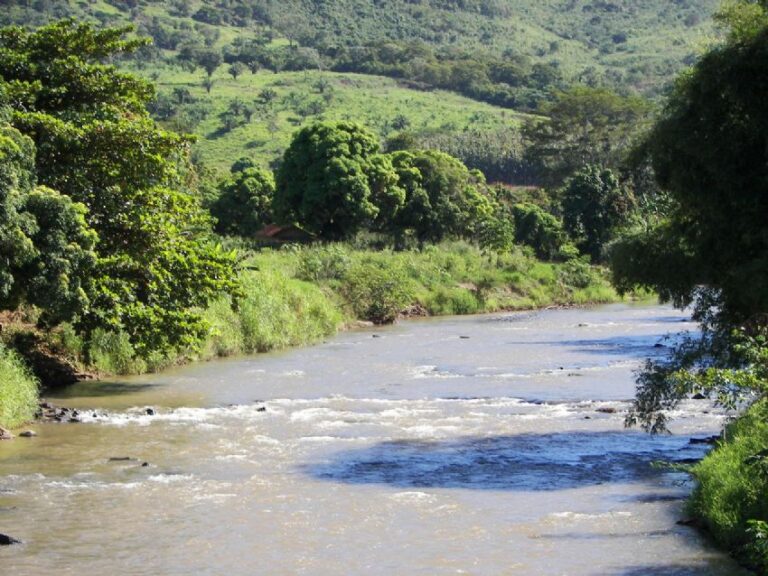 Rio Branco MT