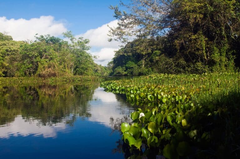Rio Cristalino, Alta Floresta, Mato Grosso, Foto Gabrielle