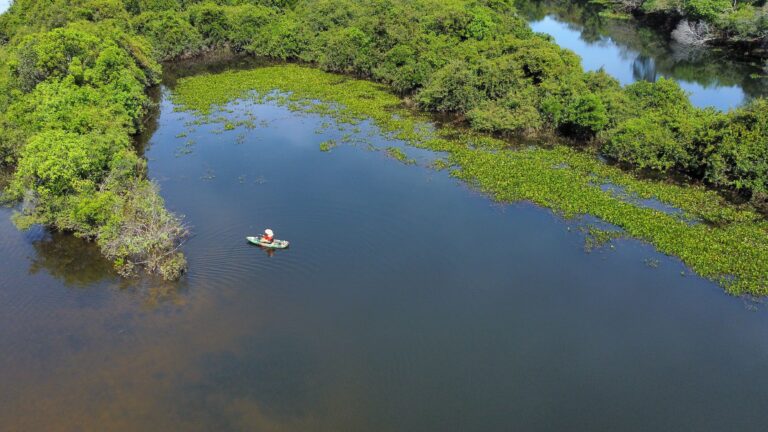Rio Cristalino, Mato Grosso, Brasil, Foto Rick122 wirestock creators