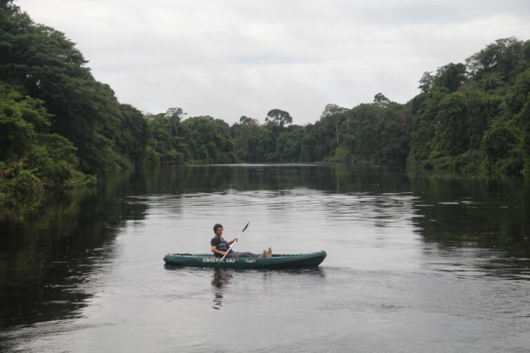 Rio Cristalino em Alta Floresta, Mato Grosso Foto - Carina Furlanetto