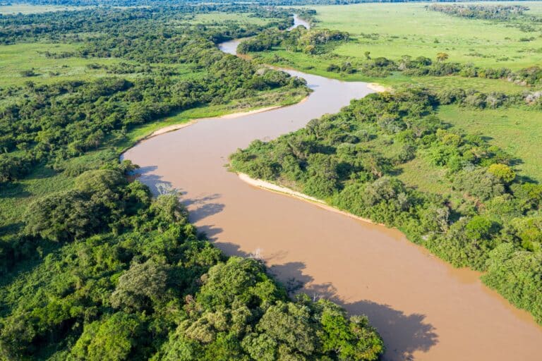Rio Cuiaba, Cuiaba Mato Grosso Foto Andrew