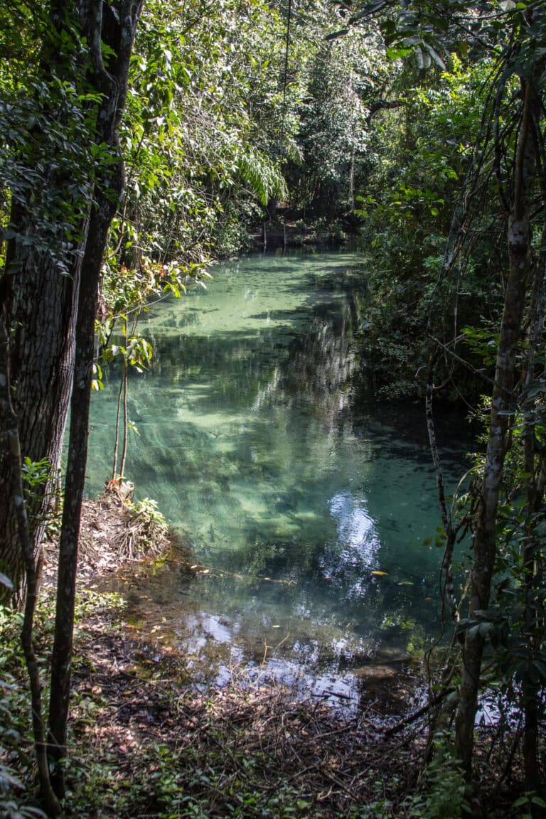 Rio Salobra - Nobres - MT - Brasil, Foto Luciano Queiroz