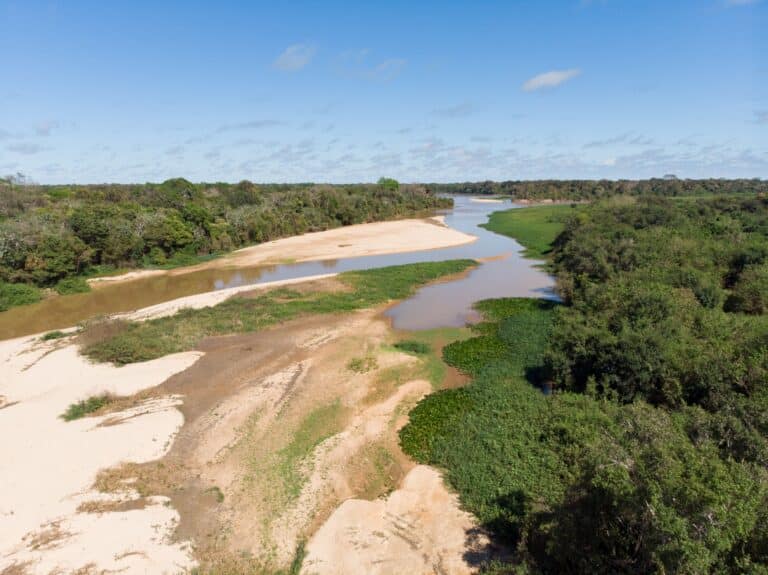 Rio São Lourenço no Pantanal, Período de seca, Brasil, Foto-zig koch