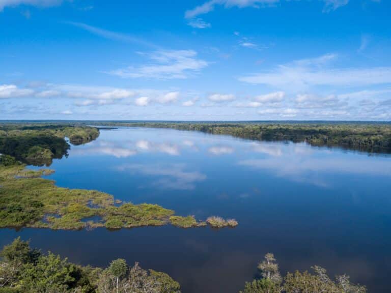 Rio Xingu, Floresta Amazônica, Mato Grosso, Foto Imago