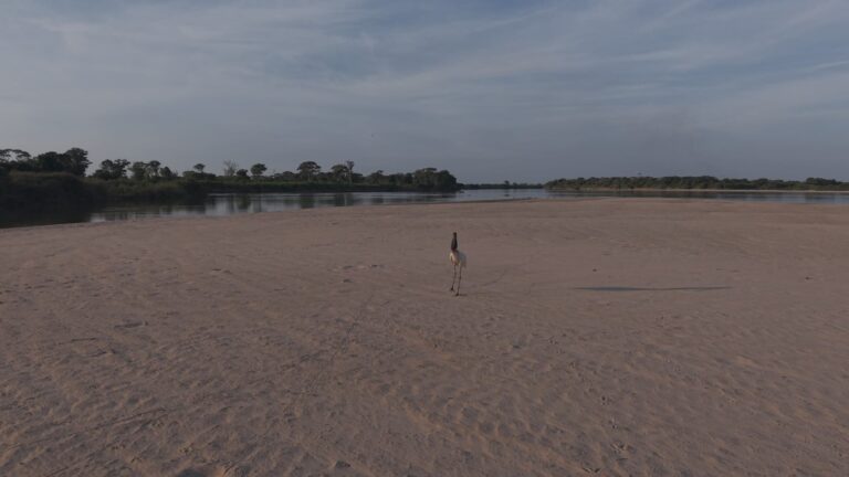 São Felix o Araguaia, Mato Grosso, Araguaia Foto Lincon3