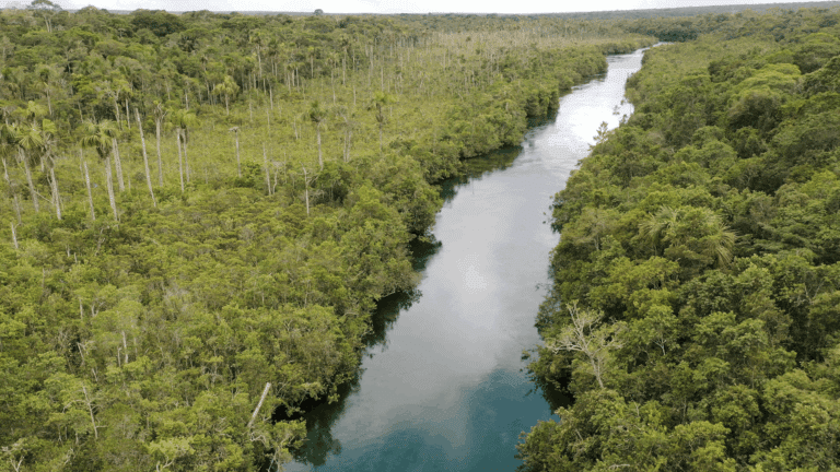 Sapezal, Mato Grosso, Foto Lincon5