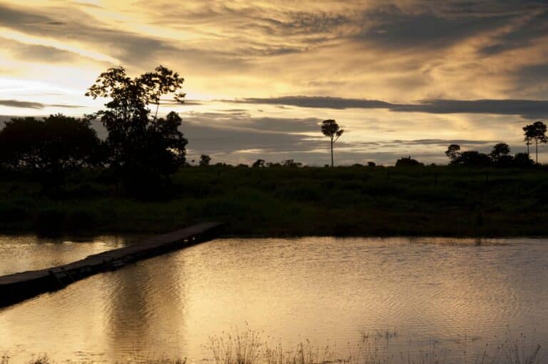 Sinop, Mato Grosso luciano de faveri