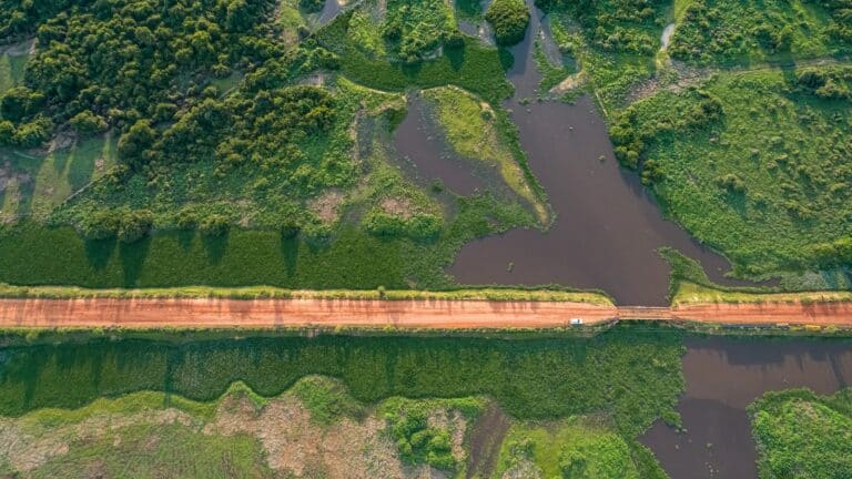 Transpantaneira, Pantanal, Mato Grosso, Brasil Foto Uwe Bergwitz