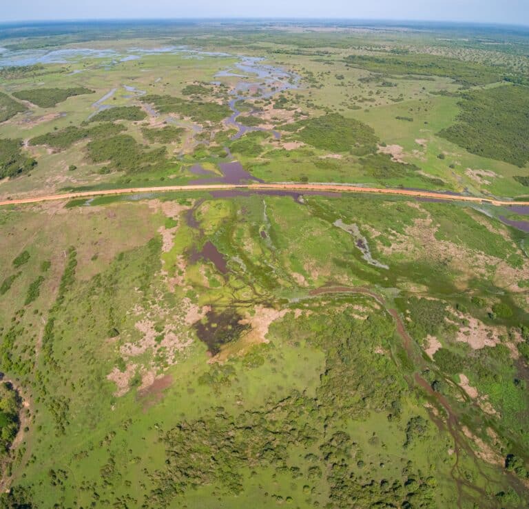 Transpantaneira, Pantanal, Mato Grosso, Brasil - Foto Uwe Bergwitz