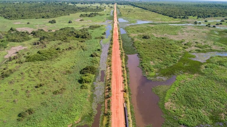 Transpantaneira,, Pantanal, Mato Grosso, Brasil - Foto_Uwe Bergwitz