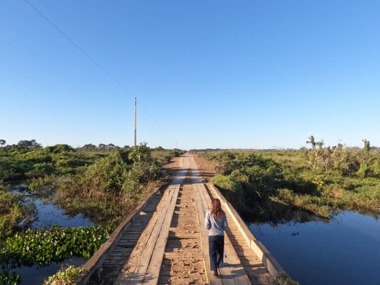 Transpantaneira, Poconé, Mato Grosso_Foto_Carina Furlanetto