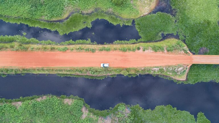 Transpantaneira,Mato Grosso, Brasil Foto Uwe Bergwitz