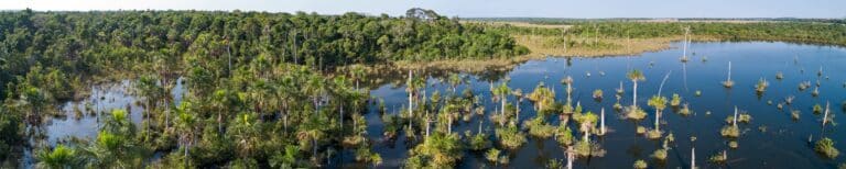 Turismo-Lagoa Amazônica-São José do Rio Claro-Mato Grosso-Foto Uwe Bergwitz