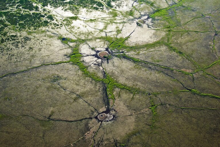 Vista aérea do Pantanal no período cheia região de Barão de Melgaço. Foto Pulsar Imagens