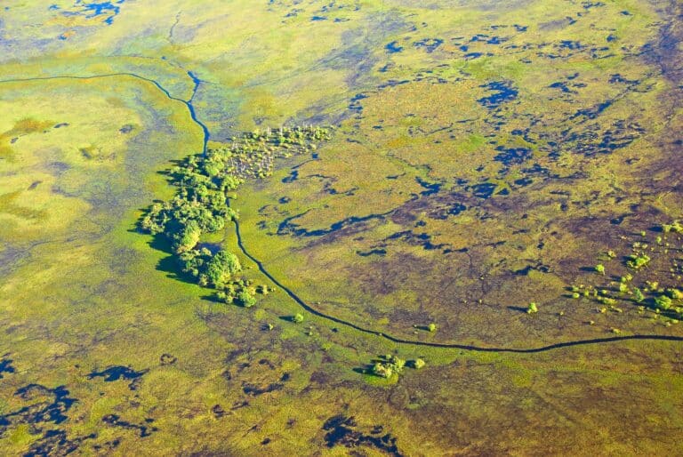 Vista aérea do Pantanal no período cheia região de Barão de Melgaço.  Foto Pulsar Imagens