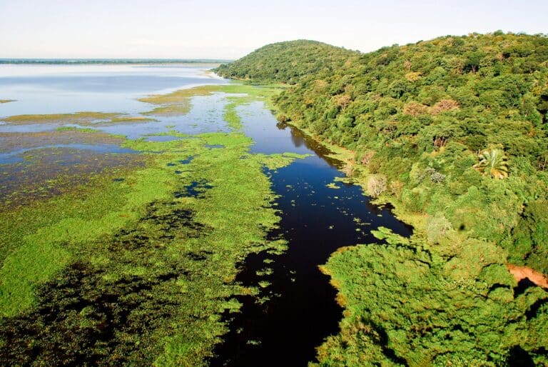 Vista aérea do Pantanal de Barão de Melgaço. Foto Pulsar Imagens